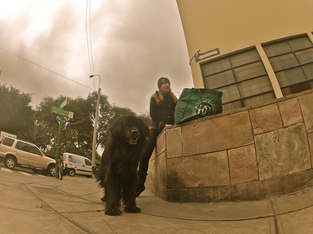 DCIM100GOPRO