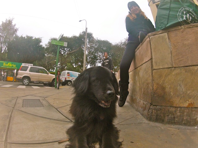 DCIM100GOPRO