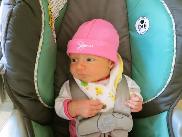 IMG_0729
