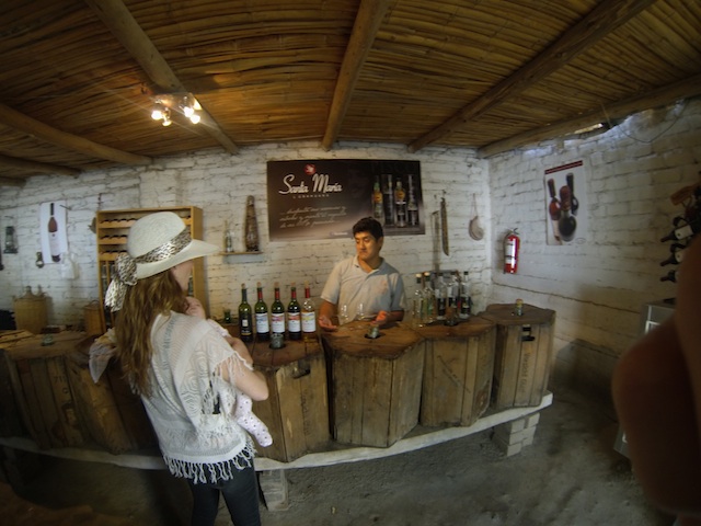 DCIM100GOPRO