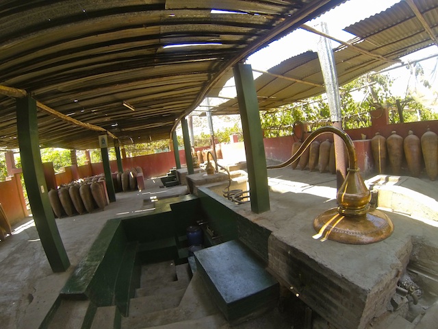 DCIM100GOPRO